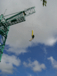 Bungee.gif