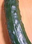 Cucumber1.jpg