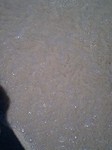 Hawaiiocean2 .jpg