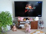 TV2.jpg