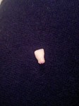 Tooth2.jpg