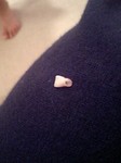 Tooth3.jpg