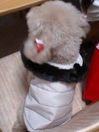berry11123.jpg