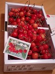 cherry1.jpg