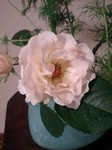 flower05252.jpg