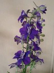 flower05253.jpg
