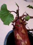 flower10222.jpg