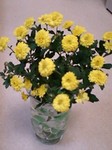 flower10223.jpg