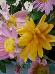flower11043.jpg