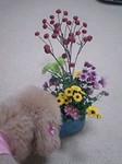 flower11062.jpg