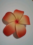 okinawa5.jpg