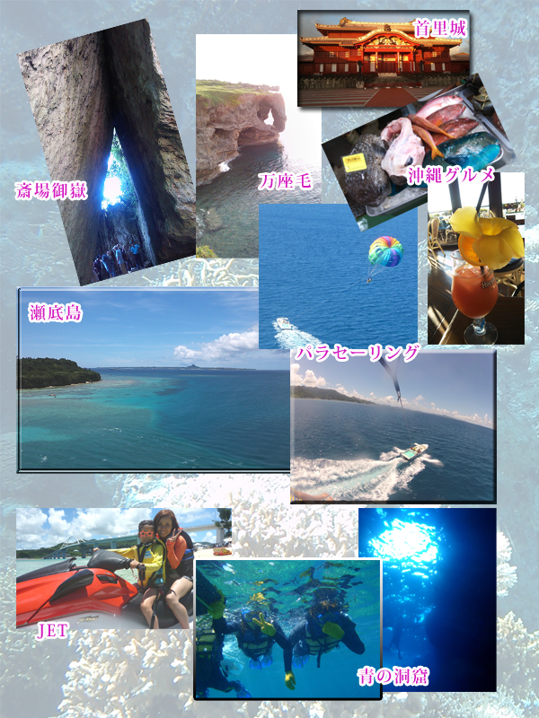 okinawea.jpg