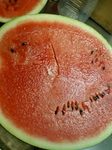 watermelon4.jpg