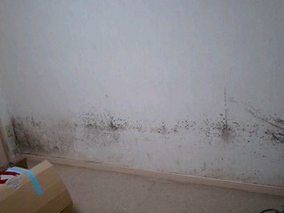 10042004.jpg