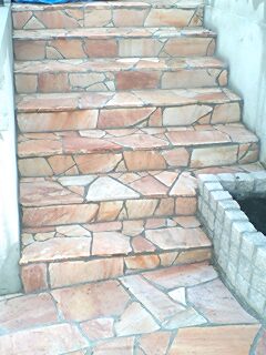 10042303.jpg