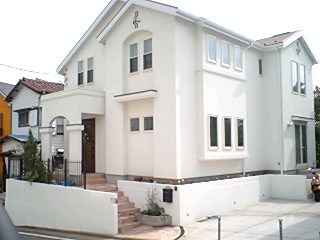 10050602.jpg