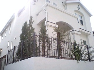 10050604.jpg