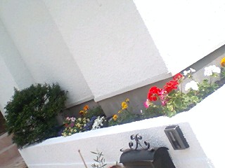10050605.jpg