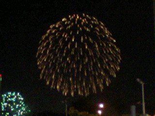 10060303.jpg