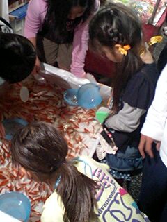 10060703.jpg