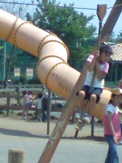 10061404.jpg