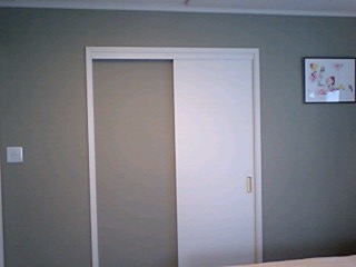 10062404.jpg
