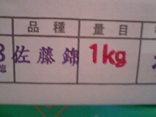 10071203.jpg