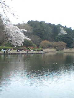 110410_1234~0001.jpg