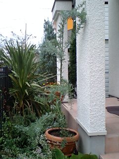 110827_1436~0001.jpg