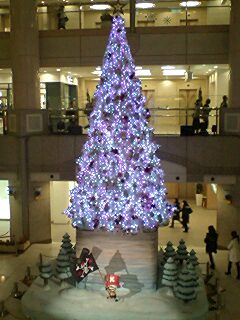 111219_1715~0001.jpg