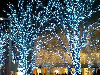 111224_2053~0001.jpg