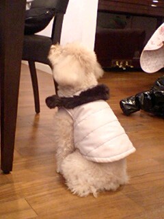120110_2124~0001.jpg