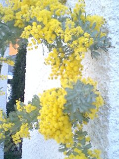 120328_0837~0002.jpg