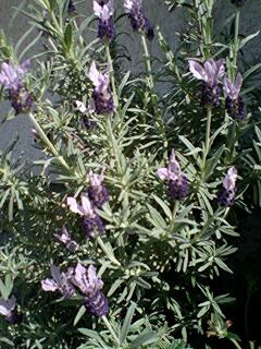 120511_0806~0001.jpg