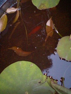 120526_1841~0001.jpg