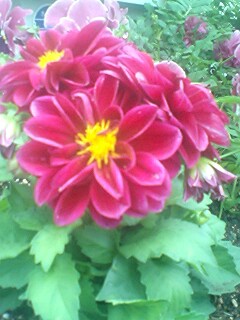 120605_1813~0002.jpg