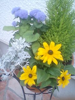 120605_1814~0001.jpg
