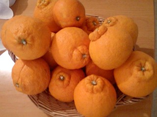20090414deko.jpg