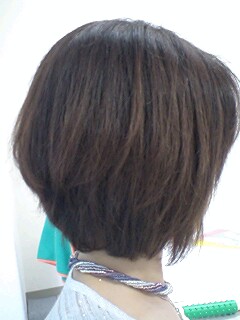 20090519collar1.jpg