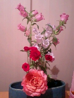 20090603flower5.jpg