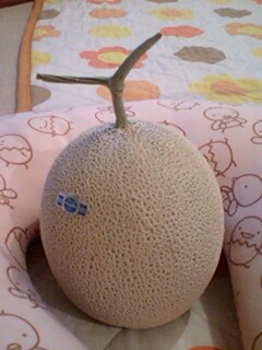 20090704melon1.jpg