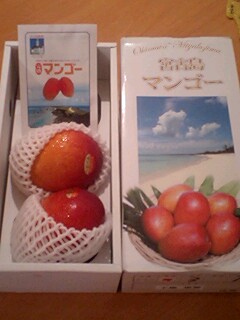 20090710mango1.jpg