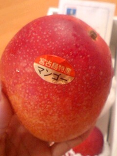 20090710mango2.jpg