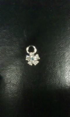 20090717pierced1.jpg
