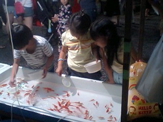20090809Goldfish.jpg