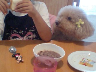 20090916berry2.jpg