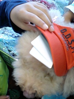 20090925dog2.jpg