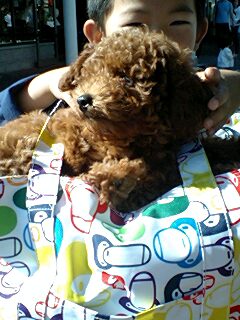 20090925dog3.jpg