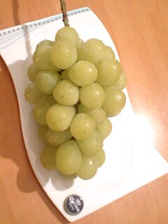 20091026budo1.jpg