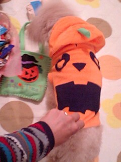 20091031Halloween4.jpg
